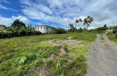 Vente Terrain Saint-Benoît