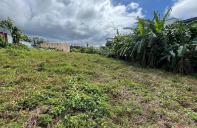 Vente Terrain Saint-Benoît