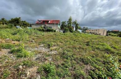 Vente Terrain Saint-Benoît