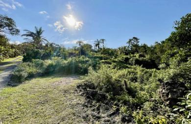 SAINT PHILIPPE 97442 - TERRAIN AVEC VUE DEGAGEE - SECTEUR CALME