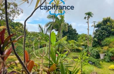 Vente Fonds de commerce 330m&sup2; 3 pièces Sainte Rose