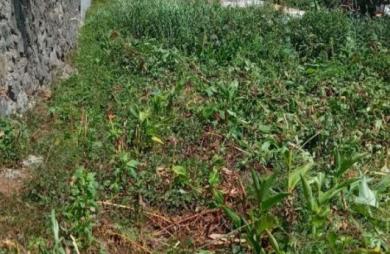 Vente Terrain 700m&sup2; Sainte Clotilde