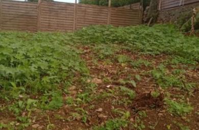 Vente Terrain 700m&sup2; Sainte Clotilde