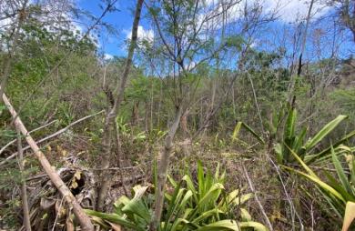 Vente Terrain 1134m&sup2; Ravine des Cabris