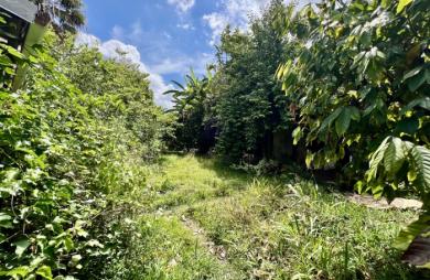 ENTRE DEUX 97414 - VILLA FONCTIONNELLE + BUNGALOW - VASTE TERRAIN ARBORE - CADRE VERDOYANT