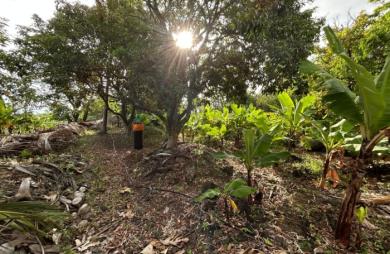 Vente Terrain 544m&sup2; Ravine des Cabris