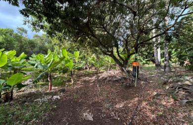 Vente Terrain 544m&sup2; Ravine des Cabris