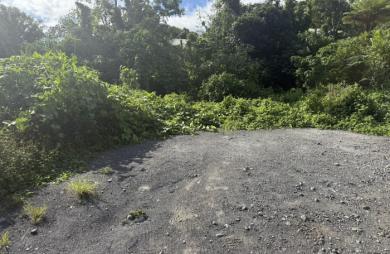 TAMPON 97430 - TERRAIN À BÂTIR - QUARTIER CALME - BEAU POTENTIEL