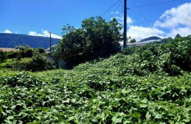Vente Terrain 410m&sup2; Plaine des Cafres