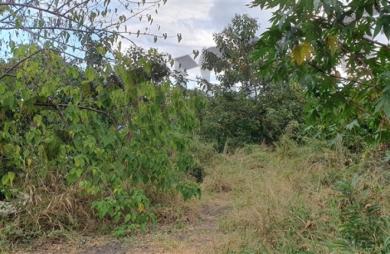 Vente Terrain 927m² Piton Saint Leu