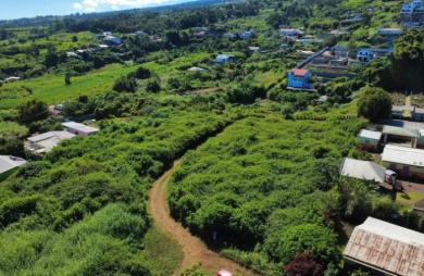 Vente Terrain 4547m&sup2; La Saline les Hauts