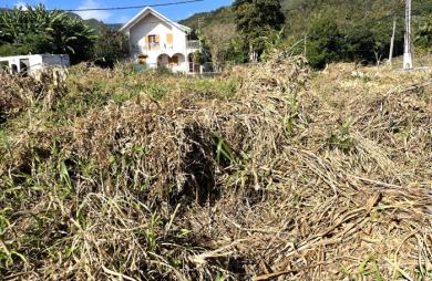Vente Terrain 732m² Sainte Clotilde