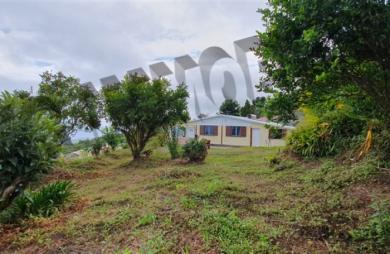 Vente Maison 140m² 5 pièces La Chaloupe Saint Leu