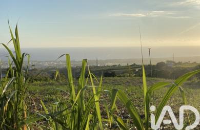 Vente Maison 100m&sup2; 3 pièces Saint Louis