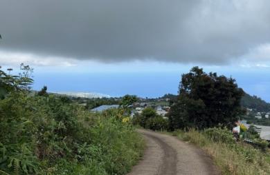 Vente Terrain 1188m&sup2; Piton Saint Leu