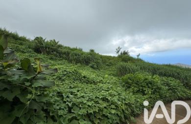 Vente Terrain 1188m&sup2; Piton Saint Leu