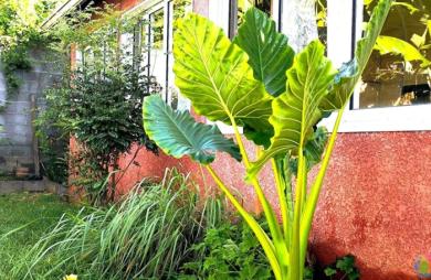 Vente Maison 110m&sup2; 4 pièces La Possession