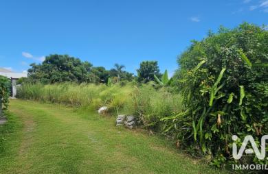 Vente Terrain 594m&sup2; Ravine des Cabris