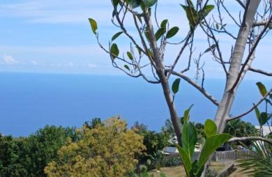 Vente Terrain Piton Saint Leu