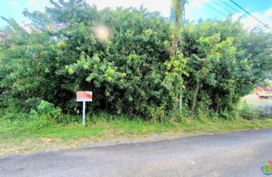 Vente Terrain Sainte Anne