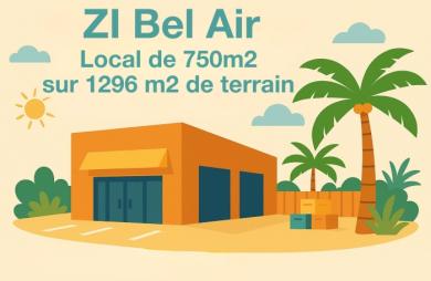 Location Local commercial 750.00m&sup2; Saint Louis