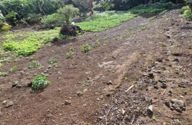 TERRAIN CONSTRUCTIBLE ET DIVISIBLE DE 762 M2 PETITE ILE 974 (ILE DE LA REUNION)