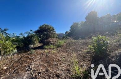 Vente Terrain 1400m&sup2; Le Guillaume