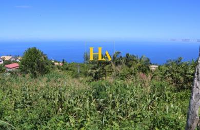 Vente Terrain 1376m² Trois Bassins