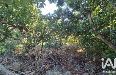 Vente Terrain 1338m&sup2; Ravine des Cabris