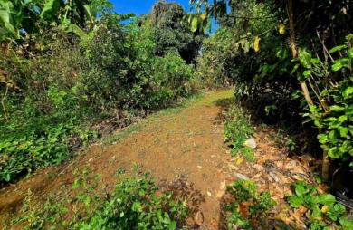Vente Terrain 1340m&sup2; Ravine des Cabris