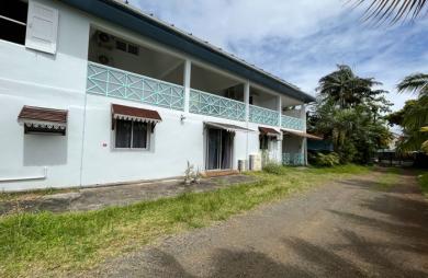 Vente Immeuble 247.31m² Saint-Benoît