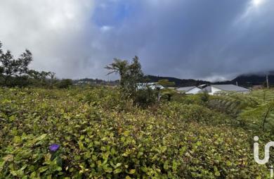 Vente Terrain 7682m&sup2; Plaine des Palmistes