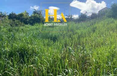 Vente Terrain 455m² Petite île