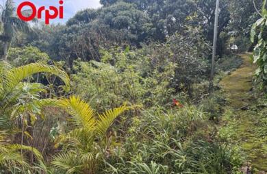 Vente Terrain 1630m&sup2; L