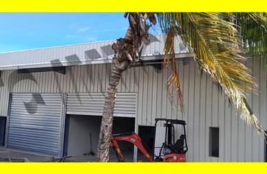 Location Local commercial 620m² Etang-Sale