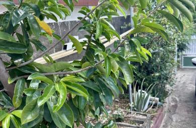 Vente Maison 140m&sup2; 7 pièces Sainte Marie