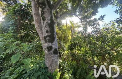 Vente Terrain 565m&sup2; Petite île