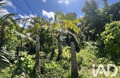 Vente Terrain 565m&sup2; Petite île