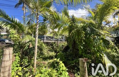 Vente Terrain 565m&sup2; Petite île