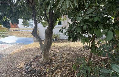 Location Maison 53m&sup2; 3 pièces Bois de Nefles St Paul