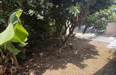 Location Maison 53m&sup2; 3 pièces Bois de Nefles St Paul