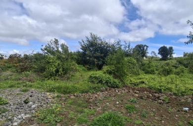 Vente Terrain 750m&sup2; Plaine des Cafres