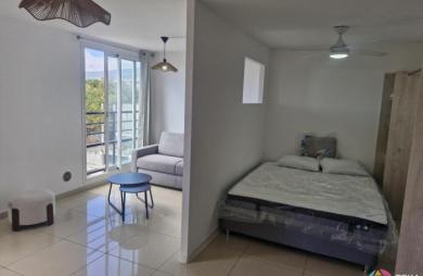 Location Appartement 42.61m&sup2; 1 pièce Sainte Clotilde