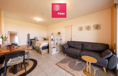Vente Appartement 49m² 2 pièces Bras-Panon