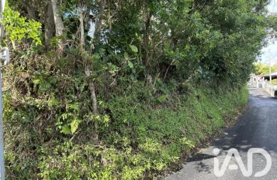 Vente Terrain 411m&sup2; Saint Joseph
