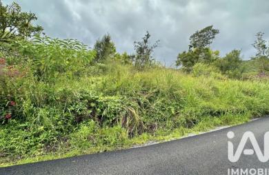 Vente Terrain 1090m&sup2; Plaine des Palmistes