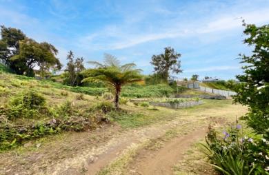 TAMPON 97430 - PARCELLE PRETE À BATIR - SECTEUR RECHERCHE