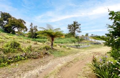 TAMPON 97430 - TERRAIN PLAT - ZONE UC - ENVIRONNEMENT CALME