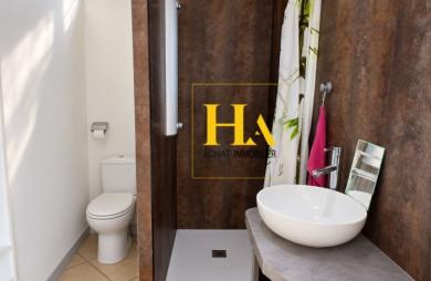 Vente Immeuble 260m² 10 pièces Les Avirons