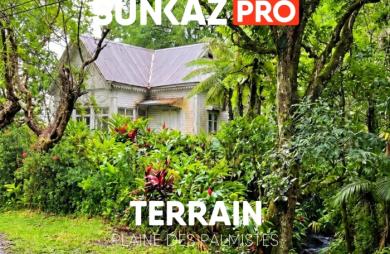 Vente Terrain 4145.00m&sup2; Plaine des Palmistes